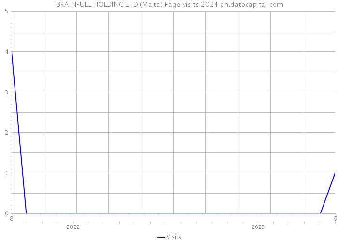 BRAINPULL HOLDING LTD (Malta) Page visits 2024 
