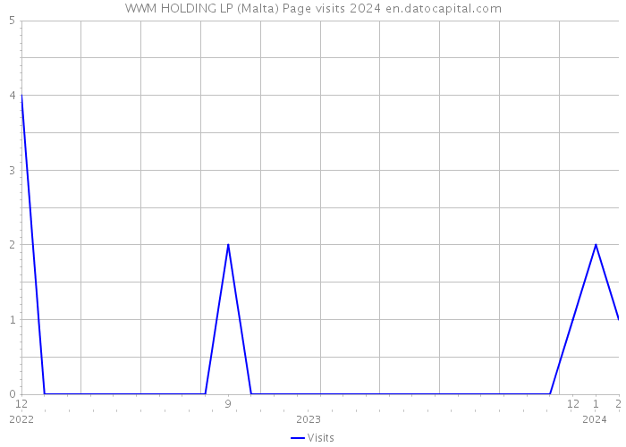 WWM HOLDING LP (Malta) Page visits 2024 