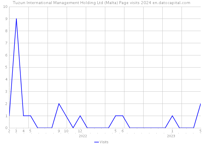 Tuzun International Management Holding Ltd (Malta) Page visits 2024 