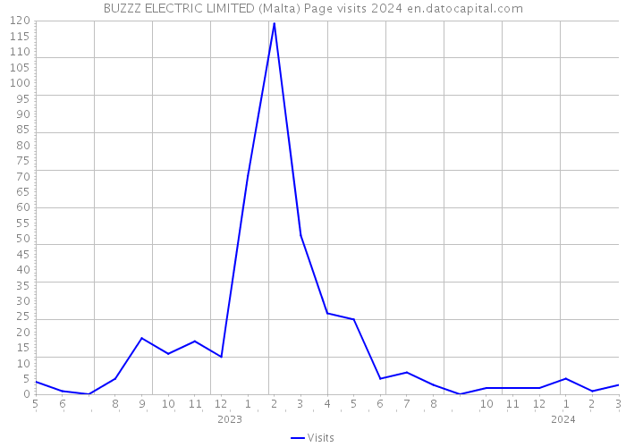 BUZZZ ELECTRIC LIMITED (Malta) Page visits 2024 