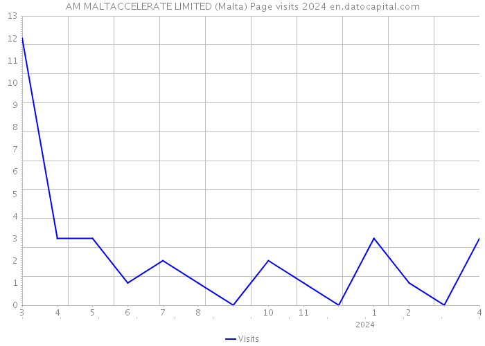 AM MALTACCELERATE LIMITED (Malta) Page visits 2024 