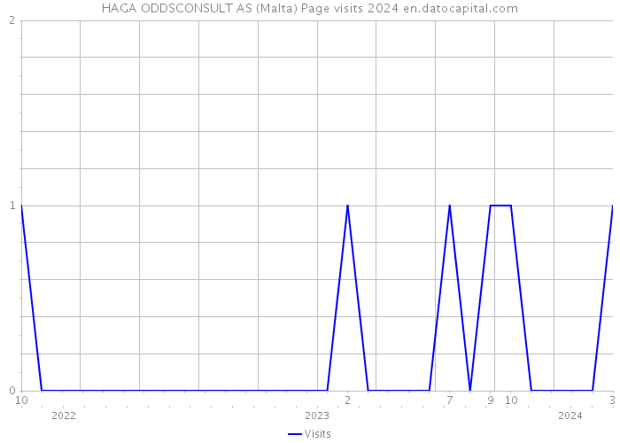 HAGA ODDSCONSULT AS (Malta) Page visits 2024 