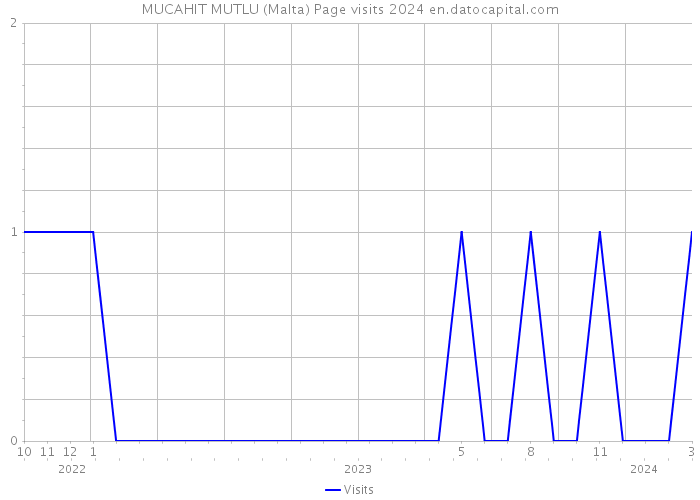 MUCAHIT MUTLU (Malta) Page visits 2024 
