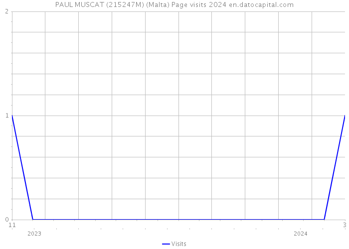 PAUL MUSCAT (215247M) (Malta) Page visits 2024 