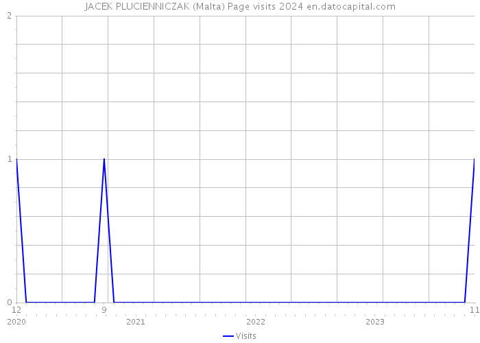 JACEK PLUCIENNICZAK (Malta) Page visits 2024 