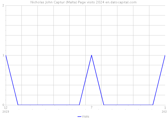 Nicholas John Captur (Malta) Page visits 2024 