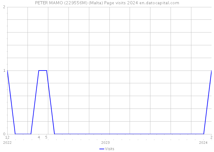 PETER MAMO (229556M) (Malta) Page visits 2024 