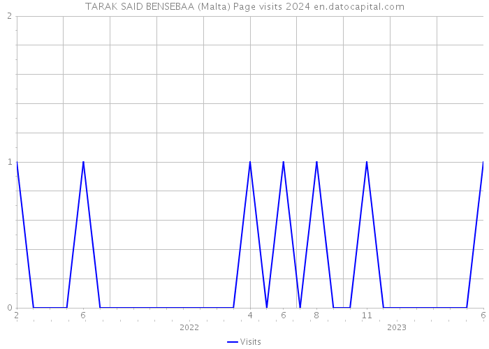 TARAK SAID BENSEBAA (Malta) Page visits 2024 