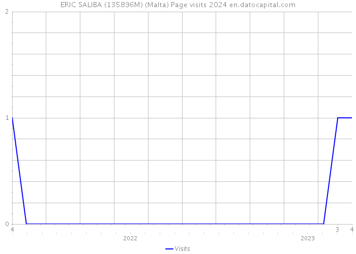 ERIC SALIBA (135896M) (Malta) Page visits 2024 