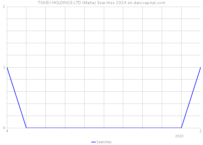 TOKEX HOLDINGS LTD (Malta) Searches 2024 