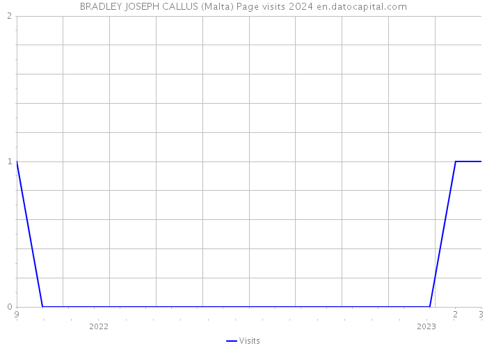 BRADLEY JOSEPH CALLUS (Malta) Page visits 2024 