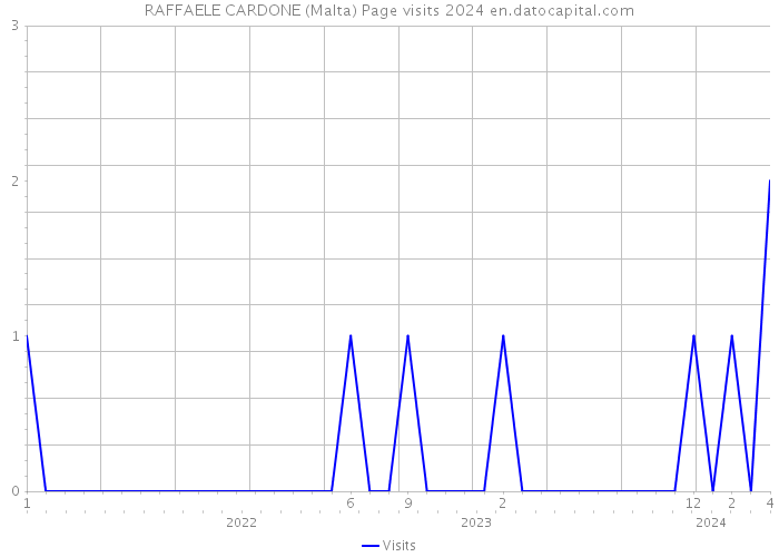 RAFFAELE CARDONE (Malta) Page visits 2024 