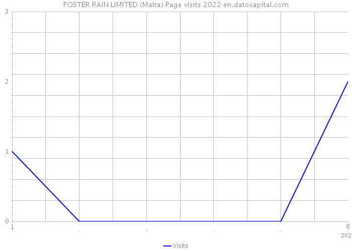FOSTER RAIN LIMITED (Malta) Page visits 2022 