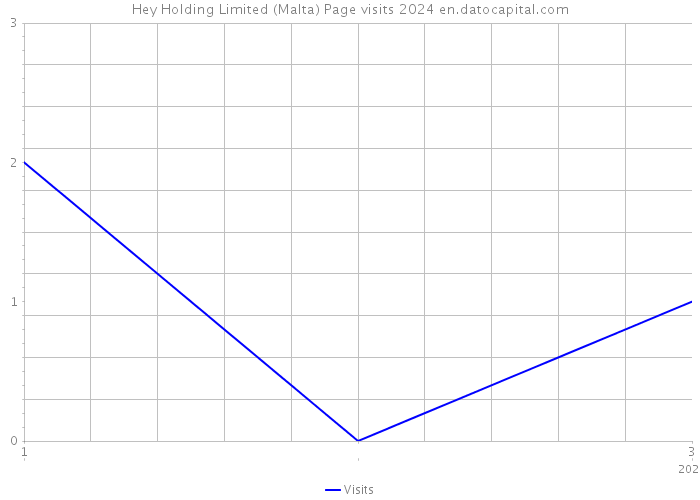 Hey Holding Limited (Malta) Page visits 2024 