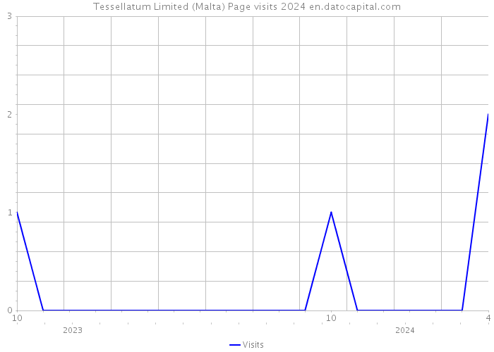 Tessellatum Limited (Malta) Page visits 2024 