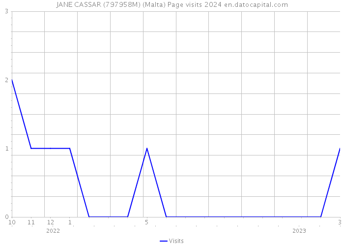 JANE CASSAR (797958M) (Malta) Page visits 2024 