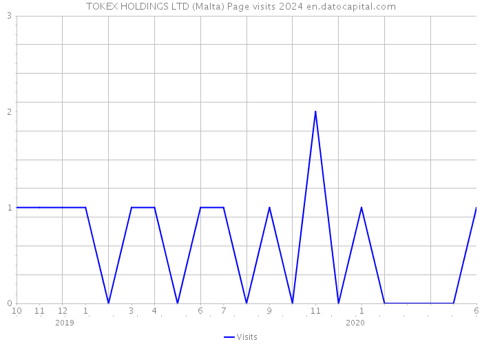 TOKEX HOLDINGS LTD (Malta) Page visits 2024 