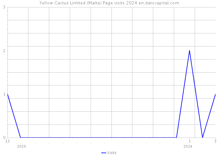 Yellow Cactus Limited (Malta) Page visits 2024 