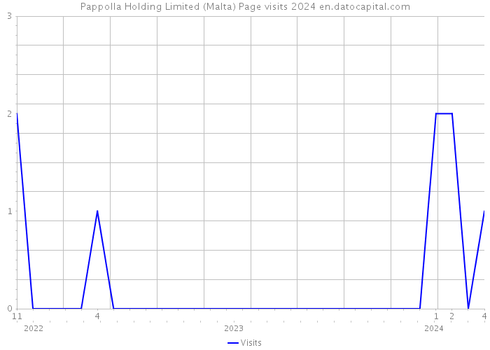 Pappolla Holding Limited (Malta) Page visits 2024 