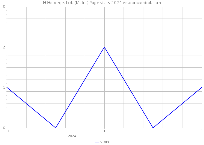 H Holdings Ltd. (Malta) Page visits 2024 