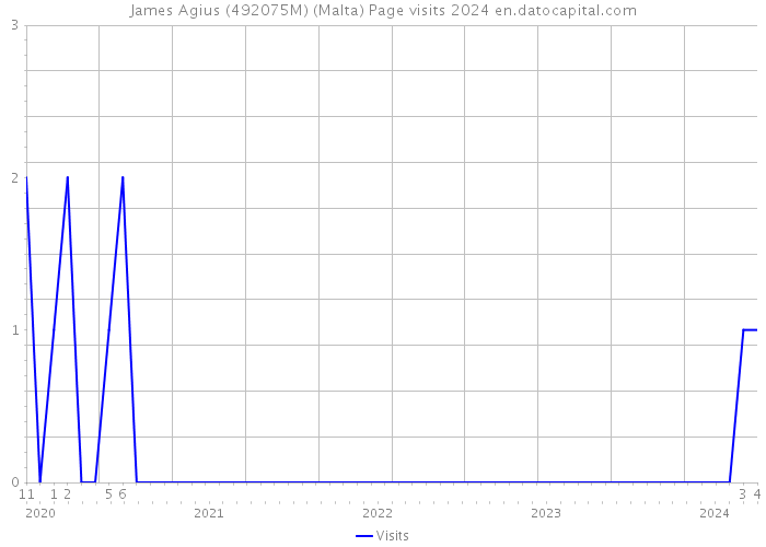 James Agius (492075M) (Malta) Page visits 2024 