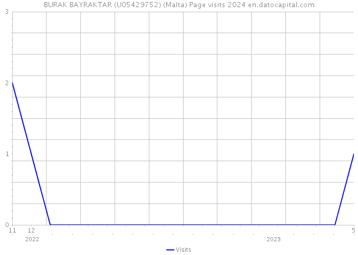 BURAK BAYRAKTAR (U05429752) (Malta) Page visits 2024 