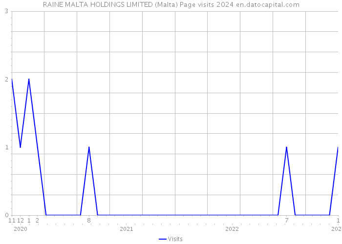 RAINE MALTA HOLDINGS LIMITED (Malta) Page visits 2024 