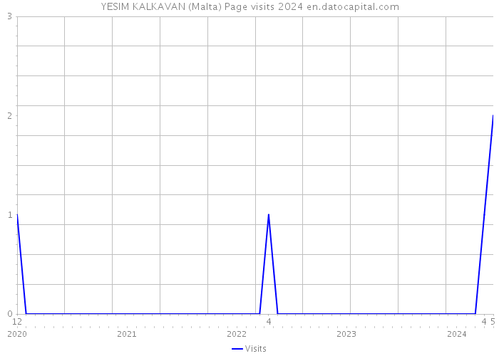YESIM KALKAVAN (Malta) Page visits 2024 