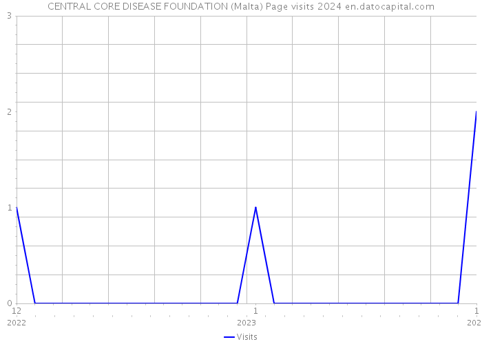 CENTRAL CORE DISEASE FOUNDATION (Malta) Page visits 2024 