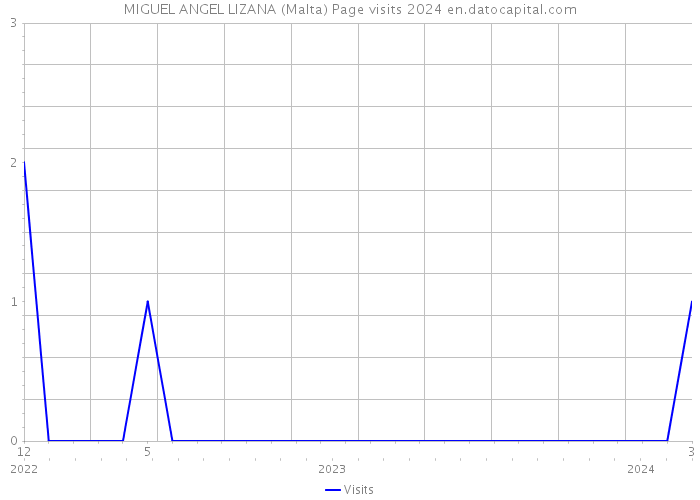 MIGUEL ANGEL LIZANA (Malta) Page visits 2024 