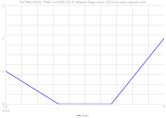 FATMA NAZIL TARA (U15452413) (Malta) Page visits 2024 