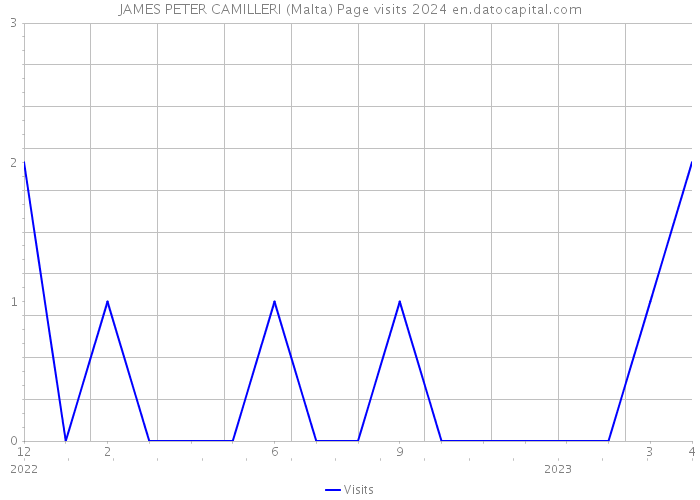 JAMES PETER CAMILLERI (Malta) Page visits 2024 