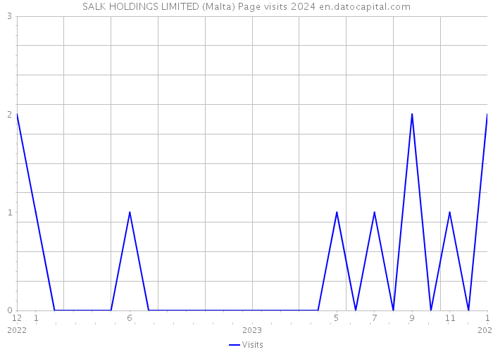SALK HOLDINGS LIMITED (Malta) Page visits 2024 