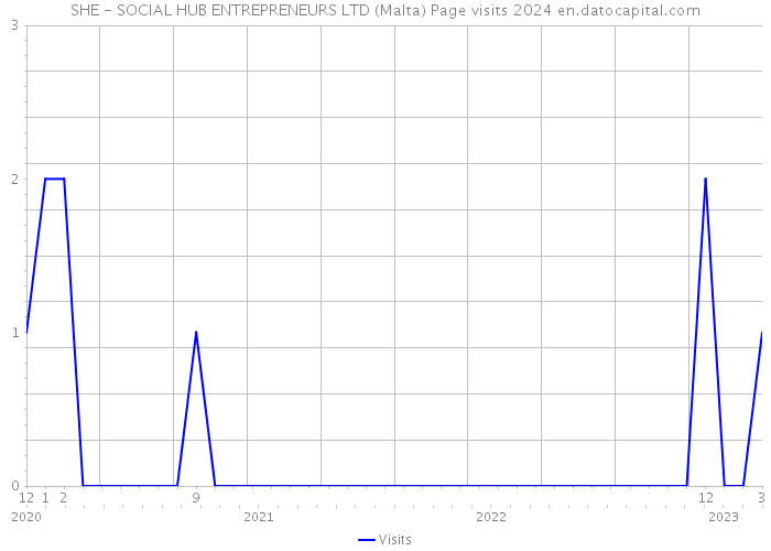 SHE - SOCIAL HUB ENTREPRENEURS LTD (Malta) Page visits 2024 