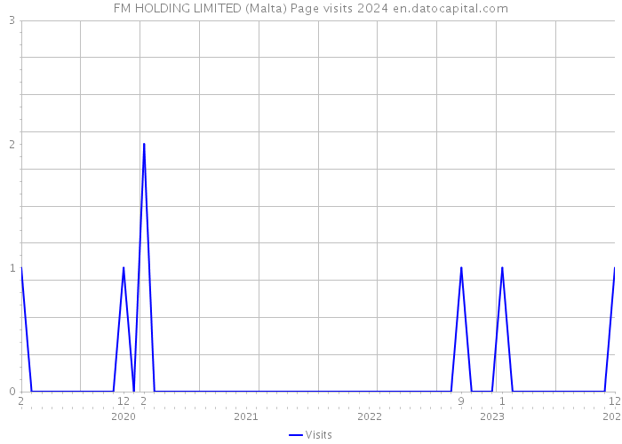 FM HOLDING LIMITED (Malta) Page visits 2024 