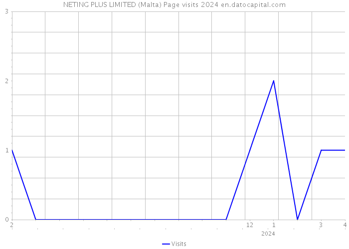 NETING PLUS LIMITED (Malta) Page visits 2024 