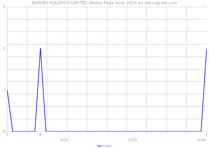 BARNES HOLDINGS LIMITED (Malta) Page visits 2024 