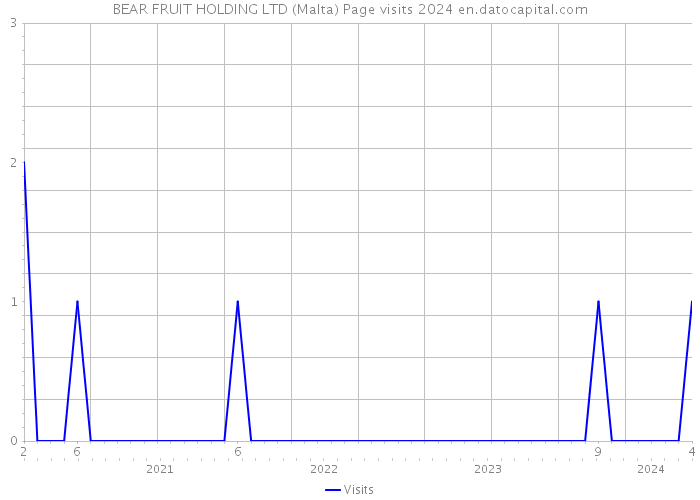 BEAR FRUIT HOLDING LTD (Malta) Page visits 2024 
