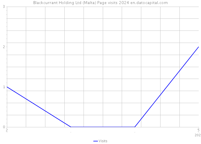 Blackcurrant Holding Ltd (Malta) Page visits 2024 