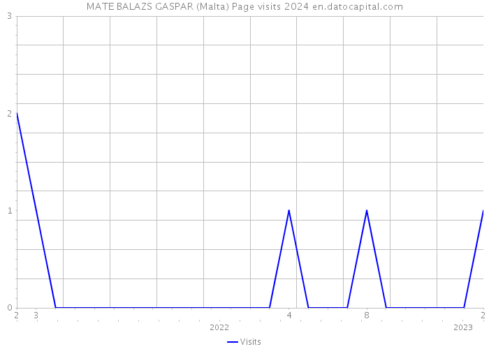 MATE BALAZS GASPAR (Malta) Page visits 2024 
