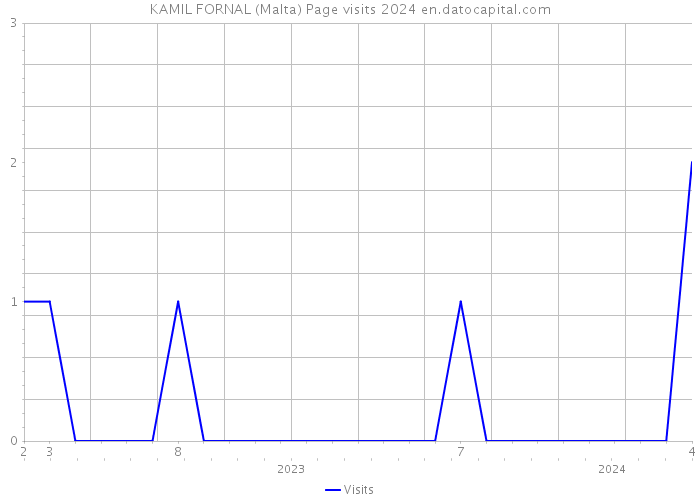 KAMIL FORNAL (Malta) Page visits 2024 