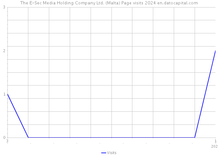 The E-Sec Media Holding Company Ltd. (Malta) Page visits 2024 