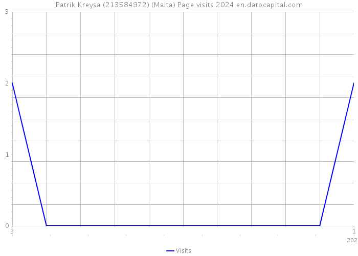 Patrik Kreysa (213584972) (Malta) Page visits 2024 