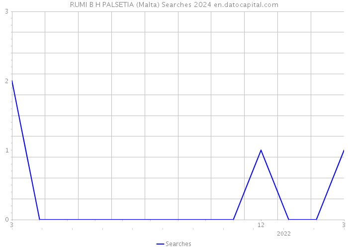 RUMI B H PALSETIA (Malta) Searches 2024 