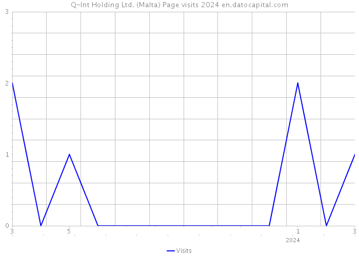Q-Int Holding Ltd. (Malta) Page visits 2024 