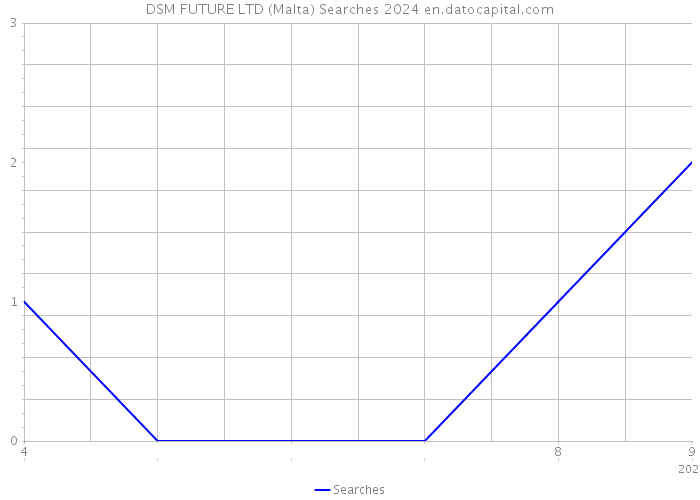 DSM FUTURE LTD (Malta) Searches 2024 