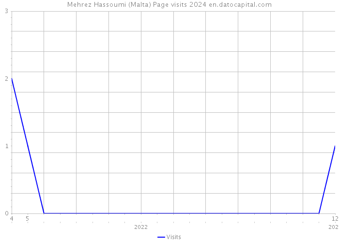 Mehrez Hassoumi (Malta) Page visits 2024 