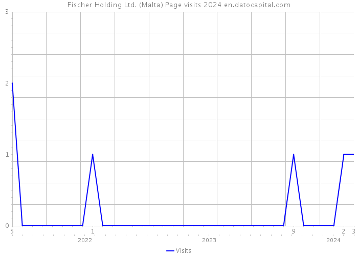 Fischer Holding Ltd. (Malta) Page visits 2024 
