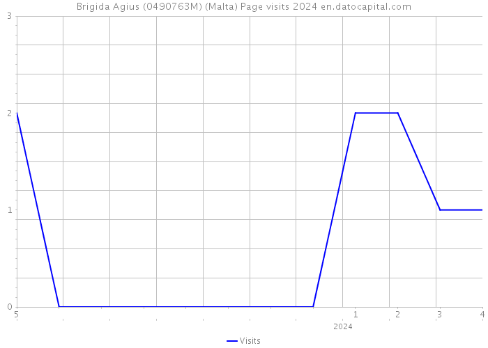 Brigida Agius (0490763M) (Malta) Page visits 2024 
