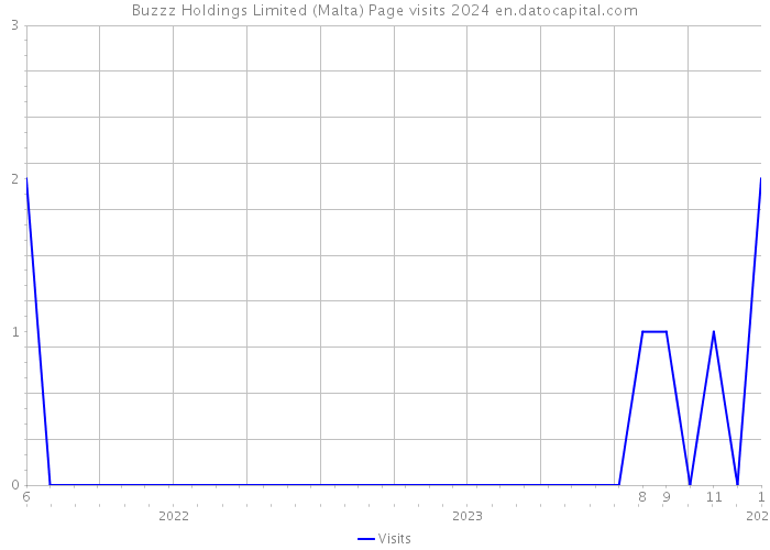 Buzzz Holdings Limited (Malta) Page visits 2024 